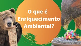 Enriquecimento Ambiental o que é [upl. by Oicnevuj]