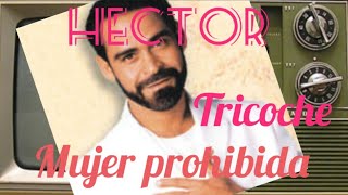 MUJER PROHIBIDA KARAOKEHector Tricoche [upl. by Eduard540]