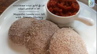 Mappillai Samba rice Idli amp Tomato Chutney  மாப்பிள்ளை சம்பாஅரிசி இட்லி amp தக்காளி சட்னி  homefood [upl. by Irab316]