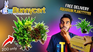 How to Buy Aquarium Plants Online  Bunnycartcom  Online Aquarium Plants  Underwater Plants [upl. by Freya430]