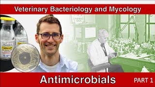 Antimicrobials Part 1  Veterinary Bacteriology and Mycology [upl. by Fraya]