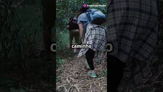 Curupira O Guardião das Florestas Brasileiras  Mitos e Mistérios Revelados shorts mitos selva [upl. by Suiramad]