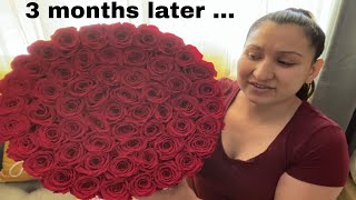 The Million Roses 3 Month Update [upl. by Pacificas]