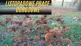 Jakie prace wykonać w ogrodzie w listopadzie [upl. by Enomad]