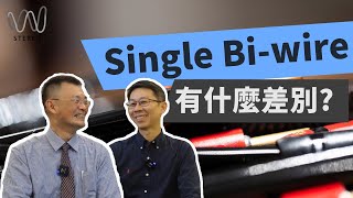 單喇叭線雙喇叭線喇叭跳線實測怎麼用聲音最好？audioquest喇叭線DIY教你怎麼接怎麼用！ [upl. by Acirretahs]