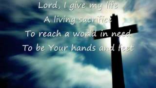 Life Song  Casting Crowns [upl. by Leasia]