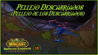 WoW TBC Classic  Pellejo Descarriados Pellejo de los Descarriados🔵 [upl. by Divadnhoj914]