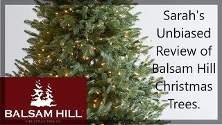 Balsam Hill Christmas Tree Review [upl. by Opal]