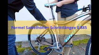 Fahrradsattel richtig einstellen [upl. by Neeliak]