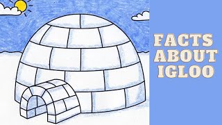 interesting facts about igloos [upl. by Weisman]