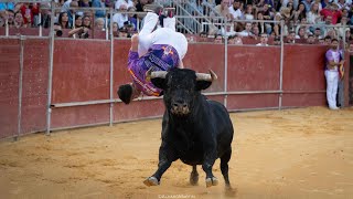 CONCURSO DE RECORTES BOADILLA DEL MONTE III MEMORIAL quotMÍGUELONquot 2024 MADRID [upl. by Blas3]