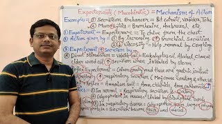 Expectorant and Antitussive Part04 Mechanism of Action of Expectorants and Mucolytic Drugs [upl. by Augustin]