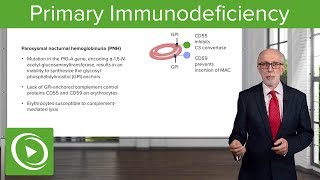 Primary Immunodeficiency – Immunology  Lecturio [upl. by Nired]