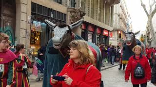 Mulassa Cercavila de Mulasses per Santa Eulàlia a Barcelona I Gegants III [upl. by Inah271]