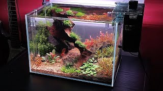 Reutilicé casi todo para armar este Acuario Plantado Nano  Montaje completo desde cero [upl. by Malley]