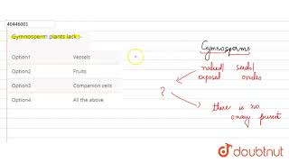 Gymnosperm plants lack [upl. by Thirion952]