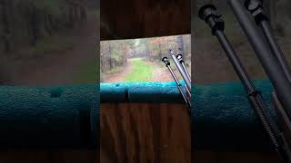 2023 Deer Hunting North Carolina mcskitchenandoutdoors bowhunting deerhunting deer hunting [upl. by Ahsinam]