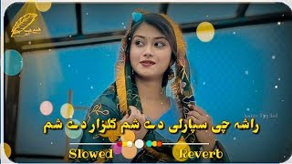 rasha che sparle de sham gulzar de sham rasha che da bade wraze yar de shom tiktok famous song [upl. by Sgninnej]