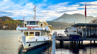 A spectacular winter cruise across Lake Lucerne 🇨🇭 From Lucerne to Weggis Rigi [upl. by Mccandless]