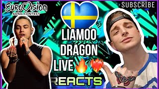 Liamoo  Dragon  Finalist Melodifestivalen 2024 Reaction [upl. by Ahsiei]