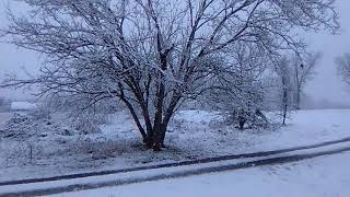 Friday snow storm here in Yadkinville North Carolina December 8th 2017 [upl. by Salhcin]