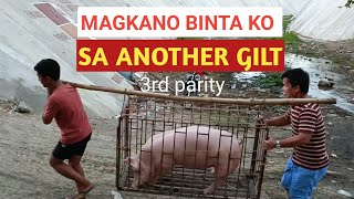 24000 ANOTHER GILT sold out  3rd parity Dodong Villaran [upl. by Amaryllis]