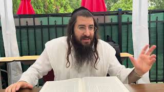 Bava Basra 93 Harav Chaim Ozer Geldzahler [upl. by Akimal]