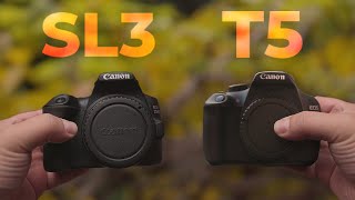 Canon 250D vs Rebel T5 Still Good in 2023 [upl. by Jay]