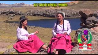 ORQUESTA NUEVA PROYECCION DE AYACUCHO Y LAS REYNAS DEL FOLKLOR TEMA MAYUPI CHALLHUA [upl. by Mildrid11]