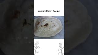 Jowar bhakri recipe  Farm Didi Quick Recipes [upl. by Aihsenot]