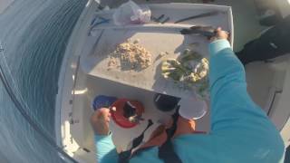 Bottum fishing commercial pinhooking porgies and black sea bass Montauk [upl. by Lleda]