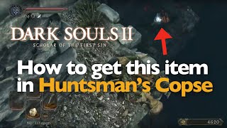 Dark Souls II  How to make a jump in Huntsmans Copse [upl. by Kimmie]