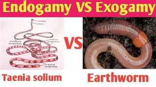 Endogamy self fertilization vs Exogamy cross fertilization  Endogamy and Exogamy Examples [upl. by Ardy]