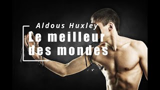 Huxley  le meilleur des mondes  chapitre6 partie13 vidéo16 Livre Audio [upl. by Hynes]