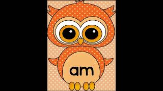 Learn 10 Dolch Primer Sight Words with Orange Owl Theme Set 2  Fall Sight Word Practice for K2 [upl. by Assetal]