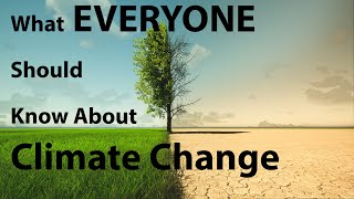 WHAT IS CLIMATE CHANGE THE BASICS EXPLAINED [upl. by Oberstone]