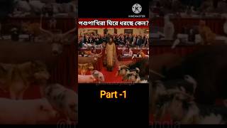 Evan Almighty movie explained bengali shorts explain movie explainbangla explanation [upl. by Oniram526]