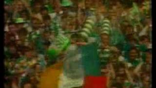 wolfetones at celtic park [upl. by Dric]