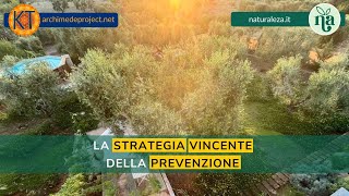 La strategia vincente della prevenzione [upl. by Lahtnero]