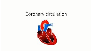 Coronary circulation  Blood supply of the heart  easy explanation with images  redmedbd [upl. by Oizirbaf]