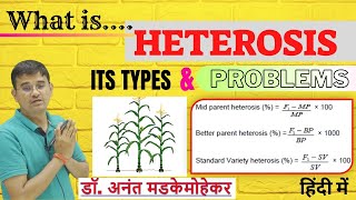 What is heterosis its types and Problem  Heterosis in Plant Breeding [upl. by Cicenia]