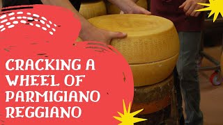 Cracking A Wheel Of Parmigiano Reggiano [upl. by Yauqram266]