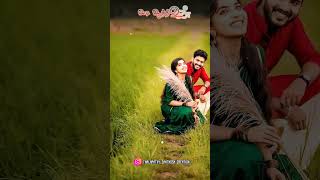 Vaadi Vaadi Nattu KattaTamil Kuthu Song Wp Status HDThalapathy Santhosh Creationkuthusong hd [upl. by Aloysius]