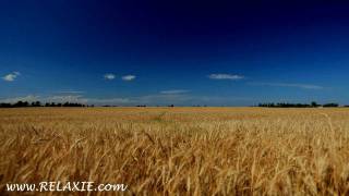 60minutes2relax  Golden Wheat Field [upl. by Lieberman]