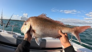 Snapper fishing🎣black rock 2024 snapperfishing blackrock portphillipbay mancingmania melbourne [upl. by Lasky]