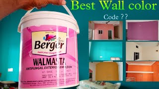 Best wall color combination amp color code  interior Wall painting  Berger paint [upl. by Quennie172]