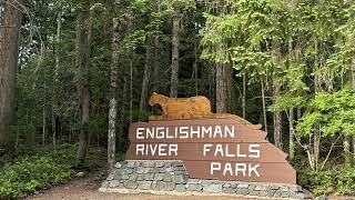 Englishman River Falls Trail Parksville Vancouver Island BC Canada [upl. by Ayokahs]