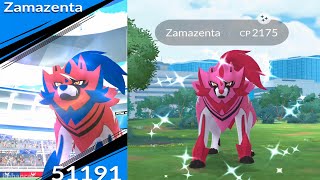 World First Ever✨Shiny Zamazenta Raid in pokemongo [upl. by Elissa]