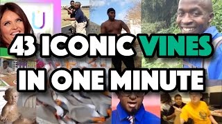 43 Iconic Vines in One Minute THE VINE SONG [upl. by Bromleigh769]