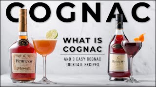 What is Cognac with Hennessy amp 3 Delicious Cognac cocktails [upl. by Yran]